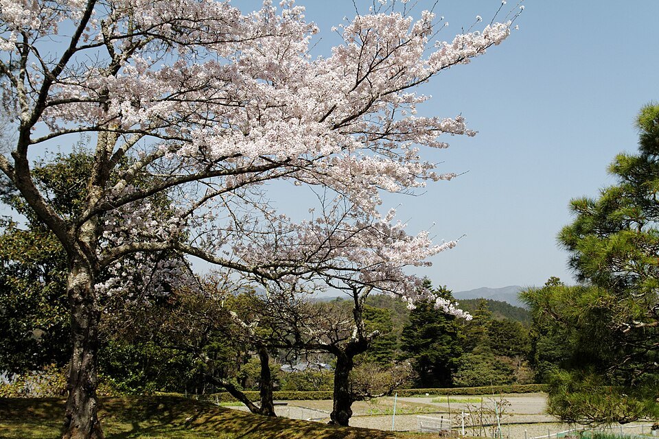 Shugakuin villa