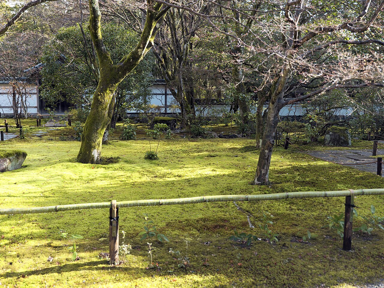 Saihō-ji (Nishikyo Kyoto) hdsr Garden S5 504
