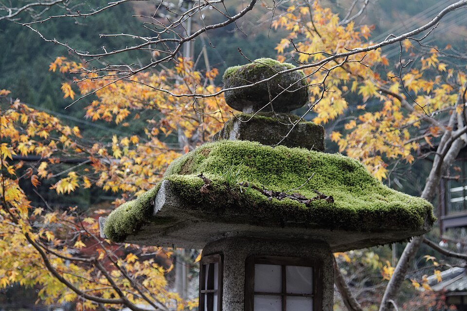 Kurama-dera, in the cedars above the village