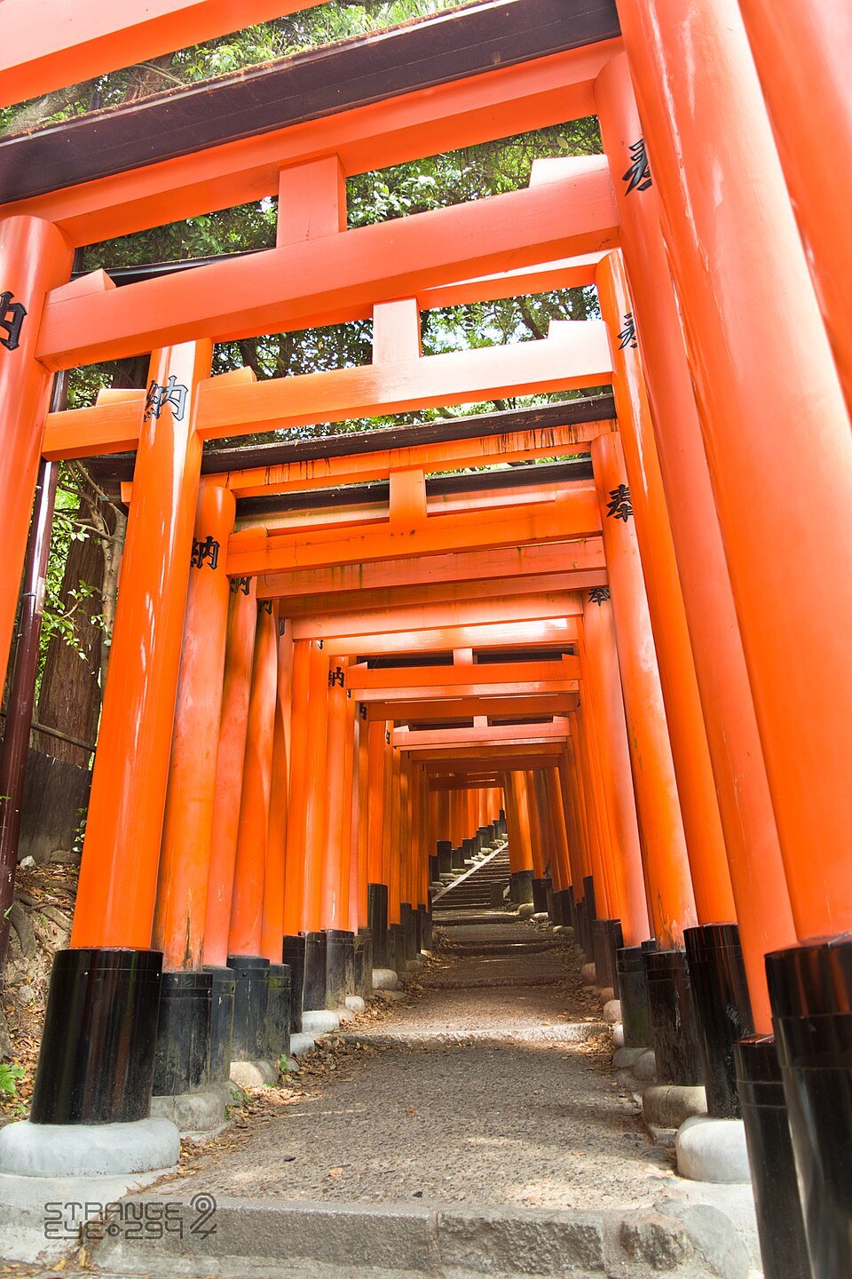 Senbon Torii
