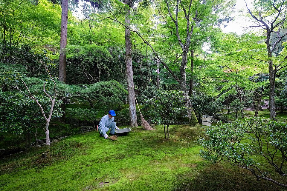 Ginkakuji, Silver Pavilion, Kyoto