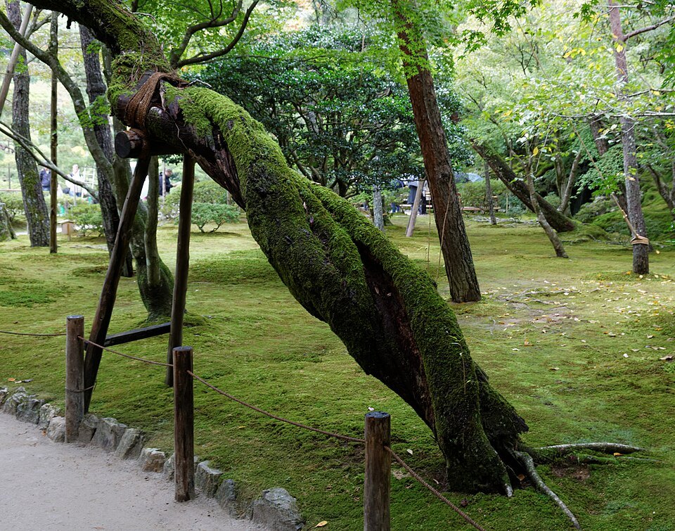 Ginkakuji (Silver Pavilion)