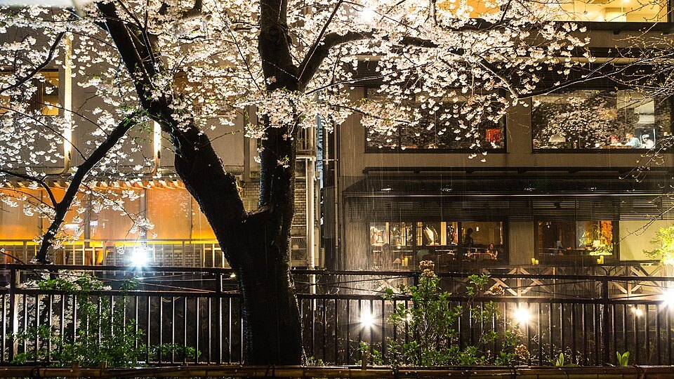 Night view of a restaurant in Gion, Kyoto, Japan