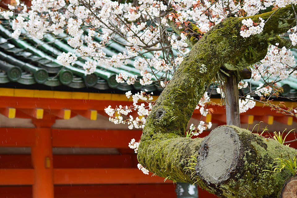 Heian Shrine