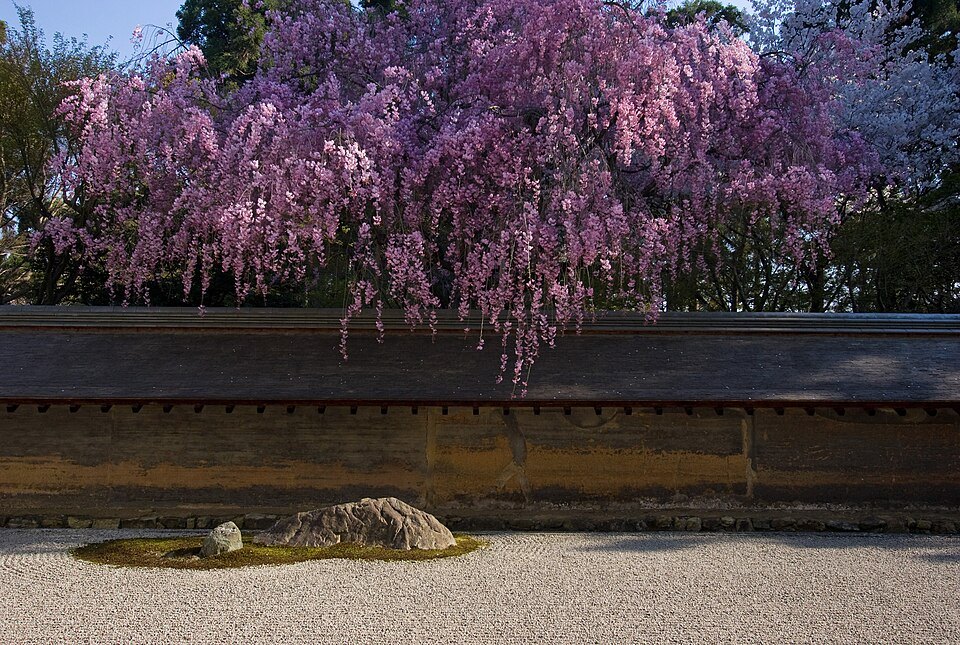 Rock garden in Ryoanji