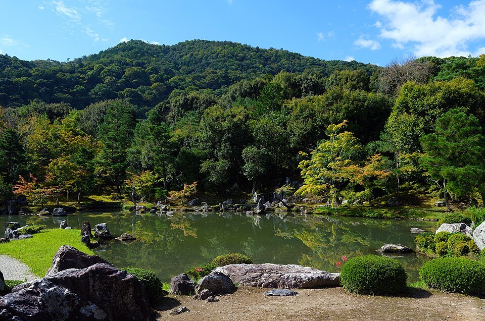 Koi pond at the Bamboo Forest 2 Kyoto Japan by Don Ramey Logan