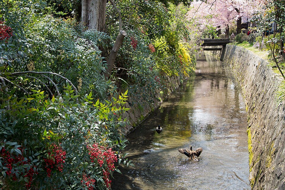 Japan Spring Down the Philosopher's Path