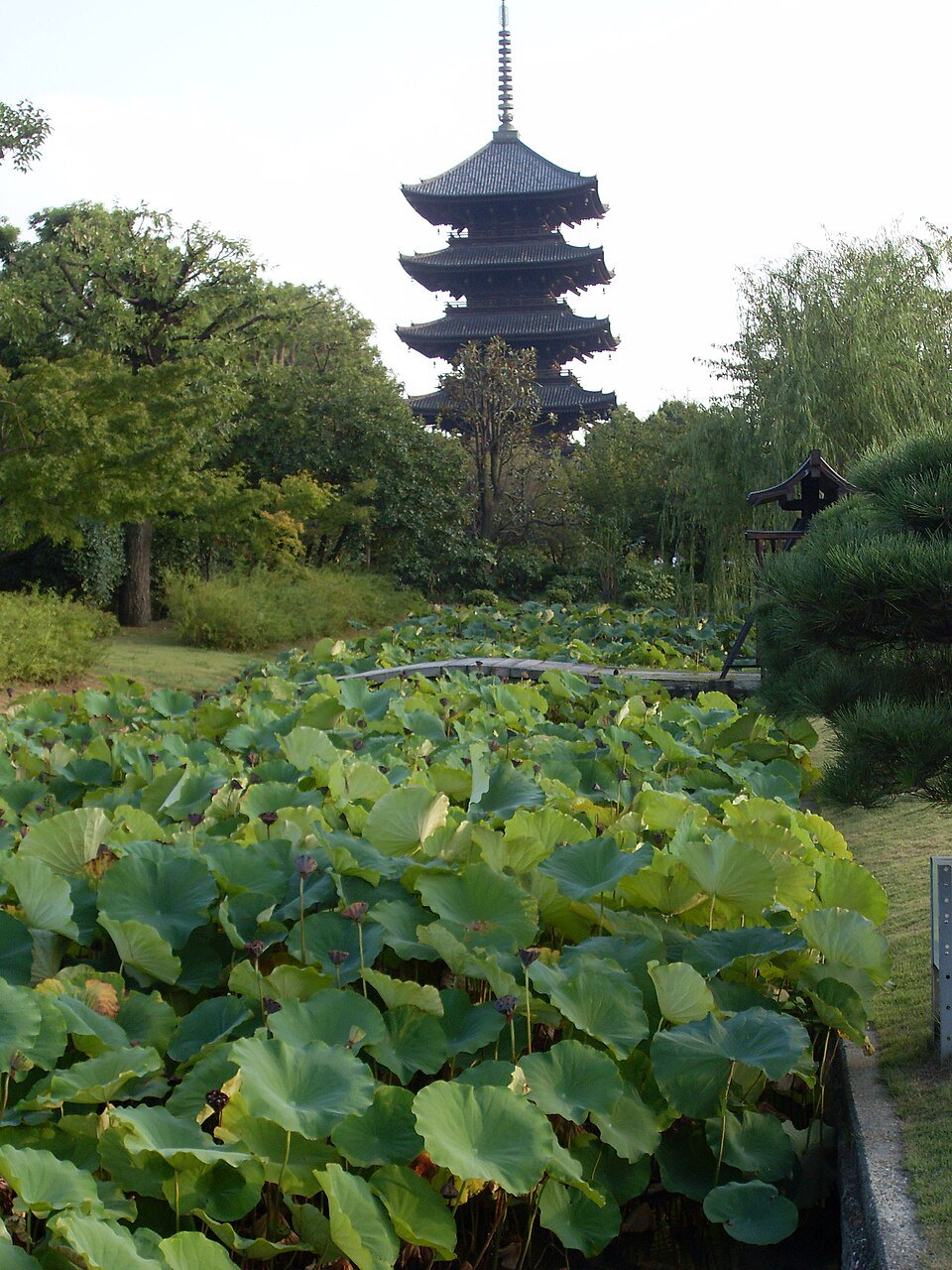 Pagoda w Toji 2