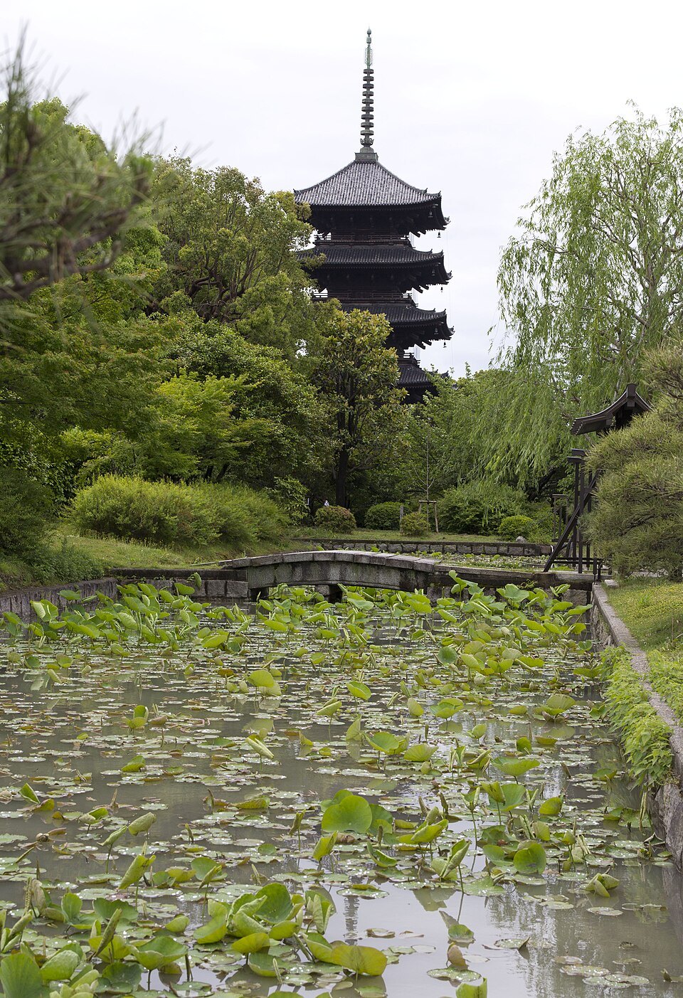 View of Five-storied Pagoda from Lotus Pond, Toji, Kyoto - May 21, 2014
